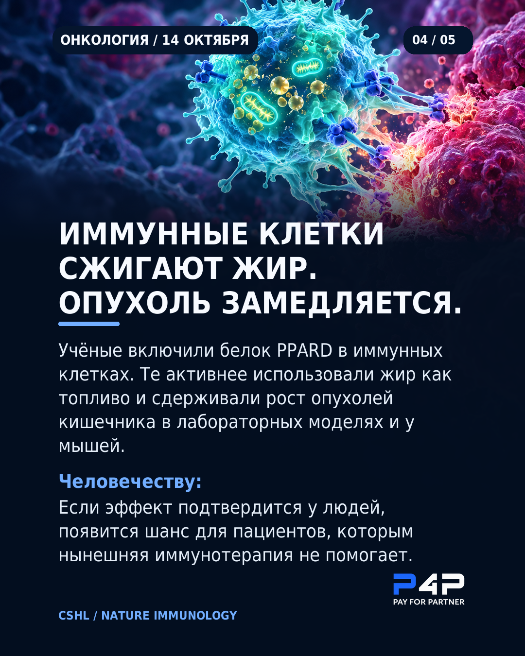 В опытах изменение обмена веществ иммунных клеток замедлило рост опухолей кишечника.