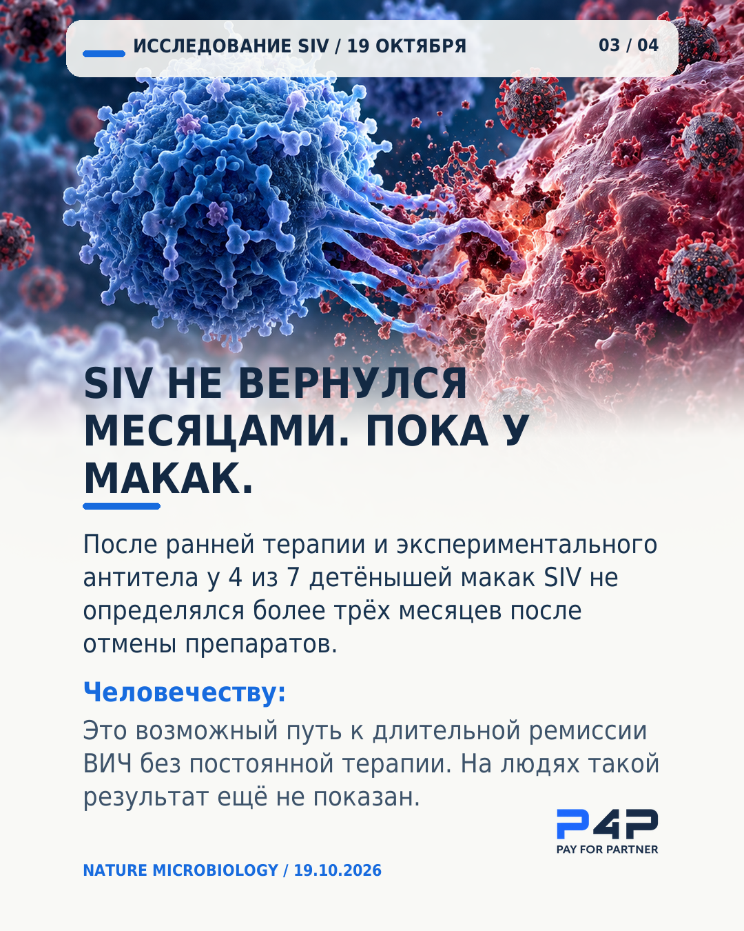 У части детёнышей макак SIV не определялся после отмены терапии.